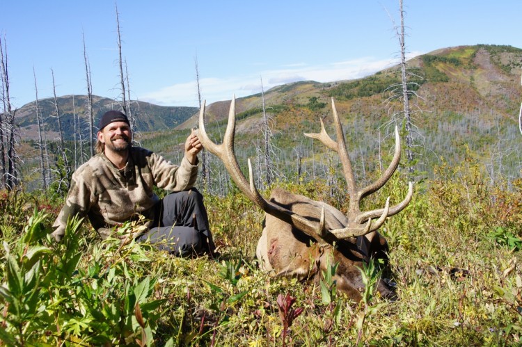 All About Elk Hunting In BC | Hunt FGS | BC Hunting Guides - Moose