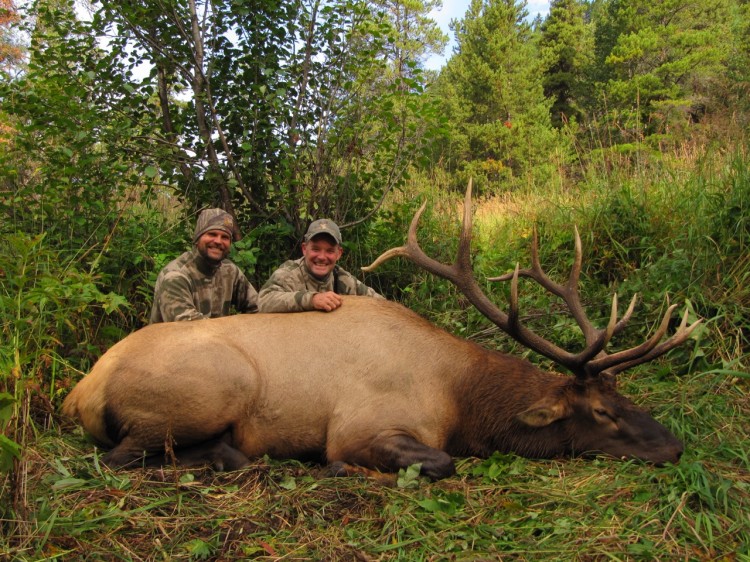 Great Elk Hunting BC Hunt FGS BC Hunting Guides Moose, Goat, Elk