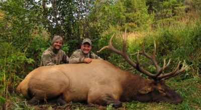 Great Elk Hunting BC photo