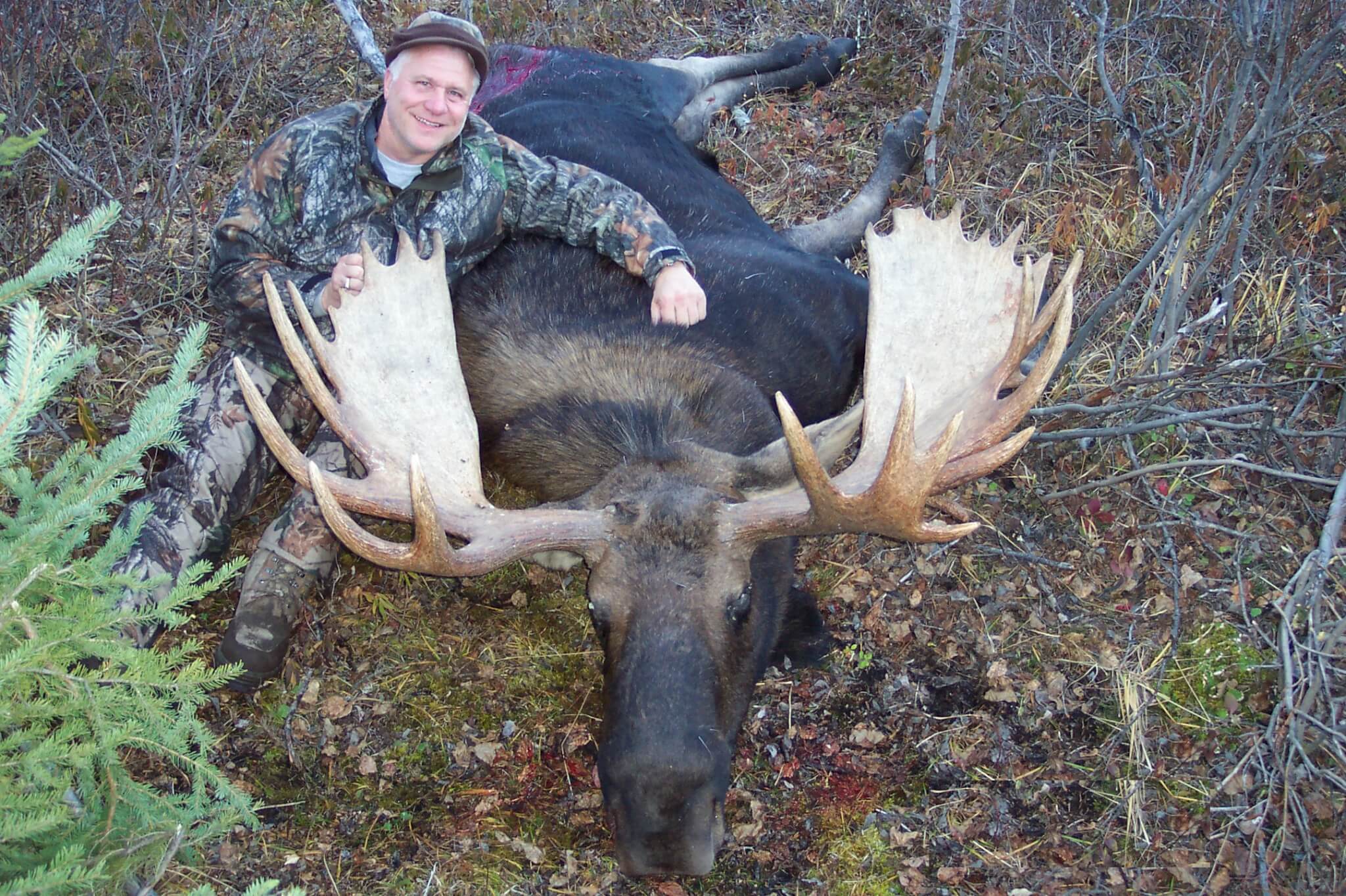 Allen Birchett’s BC Moose Hunt | Hunt FGS | BC Hunting Guides - Moose ...